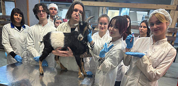 Практика - залог профессионализма!