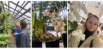 Фондовая оранжерея Ботанического сада имени Н.В. Цицина РАН